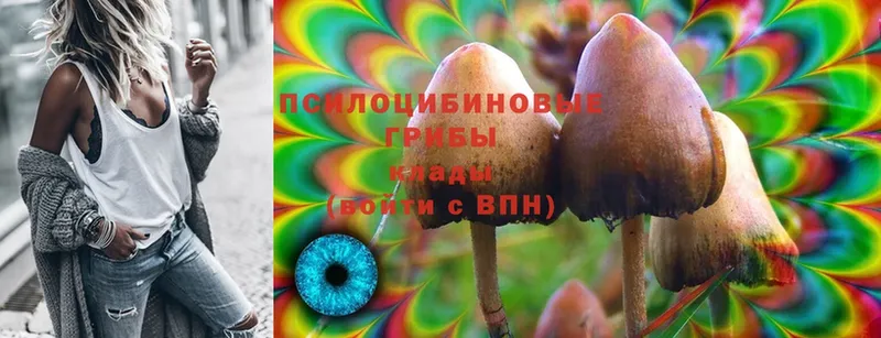 Псилоцибиновые грибы Magic Shrooms Николаевск-на-Амуре